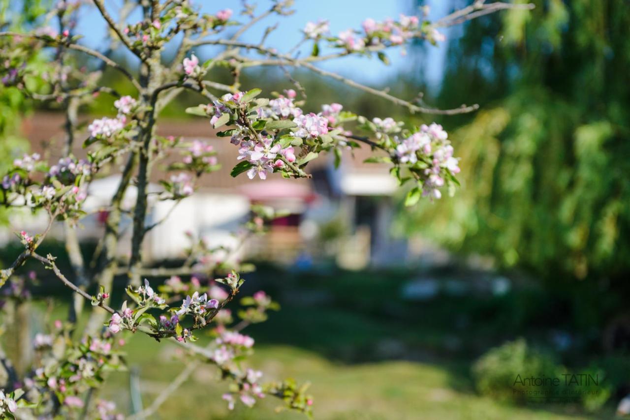 La Chevrerie Bed & Breakfast Vaire ภายนอก รูปภาพ