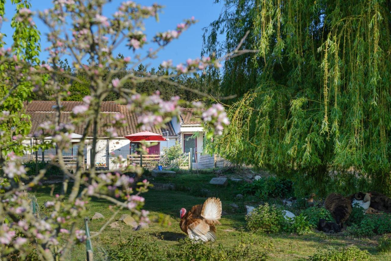 La Chevrerie Bed & Breakfast Vaire ภายนอก รูปภาพ